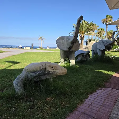 La Perla Del Duque Tenerife أذيخي